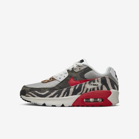 Giày Nike Air Max 90 "Light Iron Ore" DZ4844-001