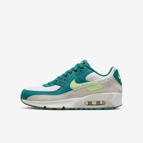 Giày Nike Air Max 90 Ltr "White" CD6864-124