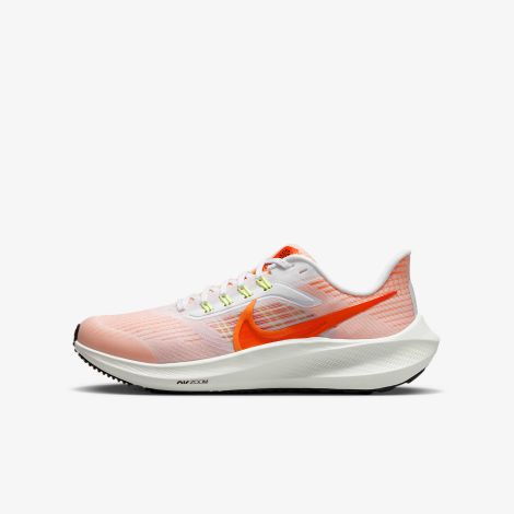 Giày Nike Air Zoom Pegasus 39 "White" DM4015-102