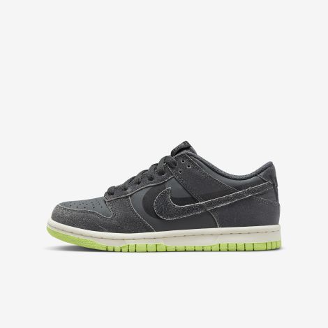 Giày Nike Dunk Low Se (gs) "Iron Grey" DQ6215-001