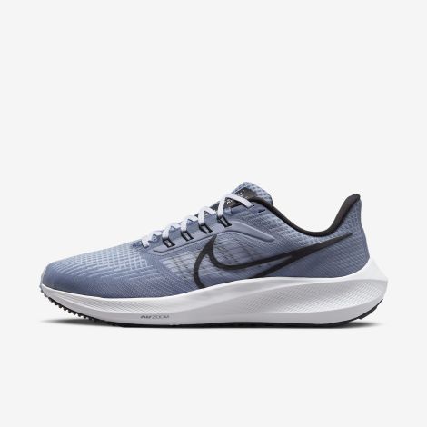 Giày Nike Pegasus 39 "Ashen Slate" DH4071-401