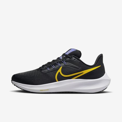 Giày Nike Pegasus 39 "Black" DH4072-004