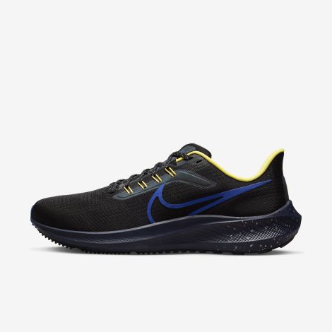 Giày Nike Pegasus 39 "Black" DZ4846-001