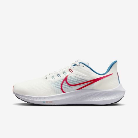 Giày Nike Pegasus 39 "Mountain White" FD4322-161