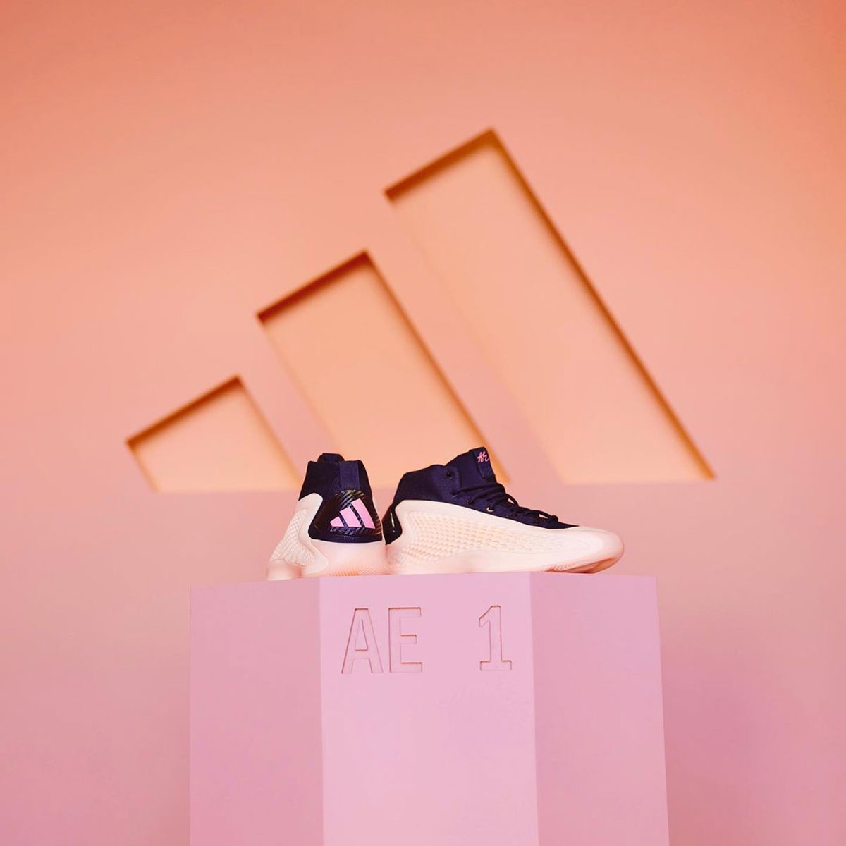 Anthony Edwards và Bước Đột Ph - 16