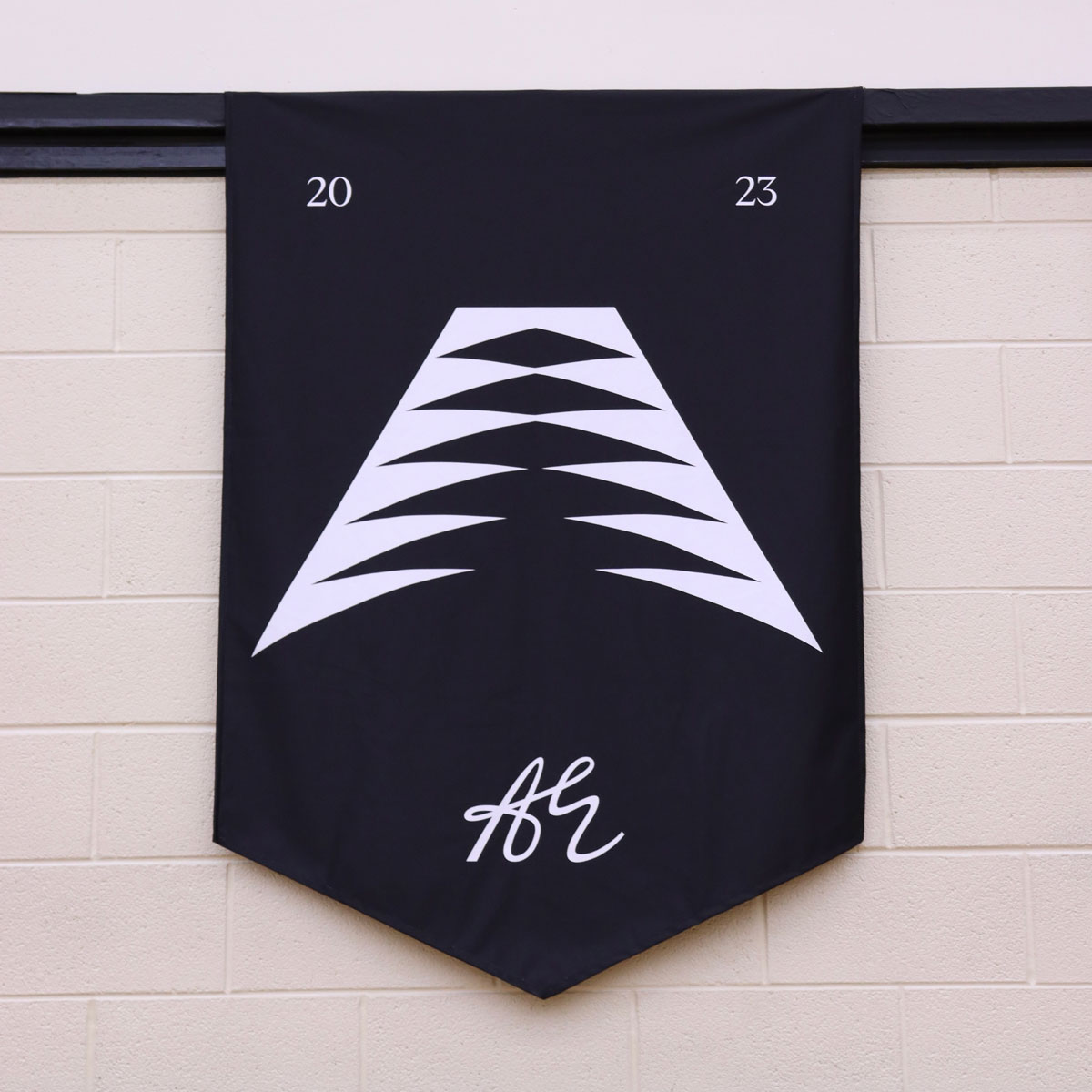 Anthony Edwards và Bước Đột Ph - 28