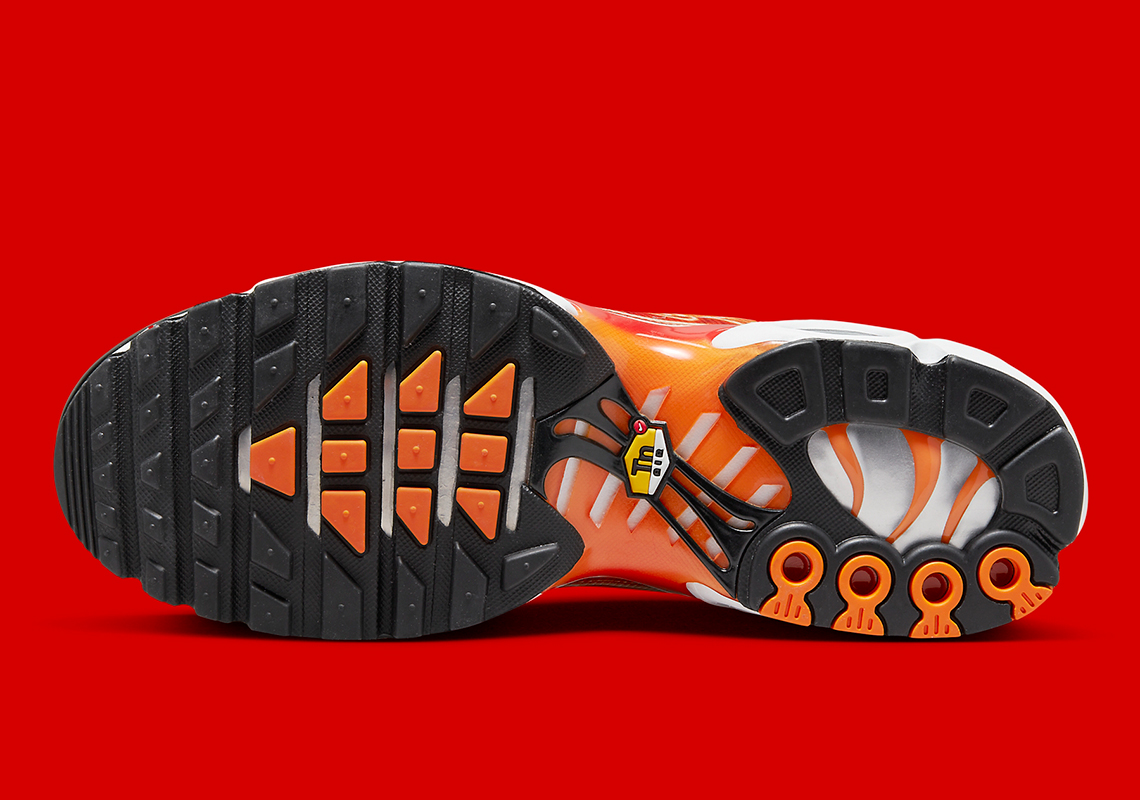 Giày Nike Air Max Plus Light Photography có màu sắc sặc sỡ mới nhất - 5