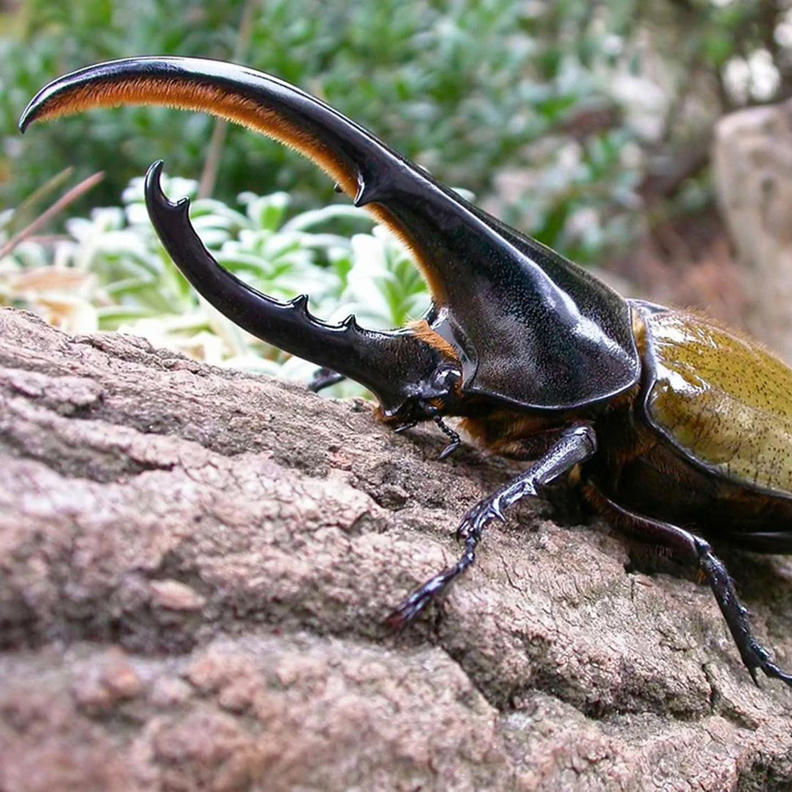 Giày thể thao Nike Inspirator: Thiết Kế Thú Vị Của Nhà Thiết Kế Aaron Cooper - 9