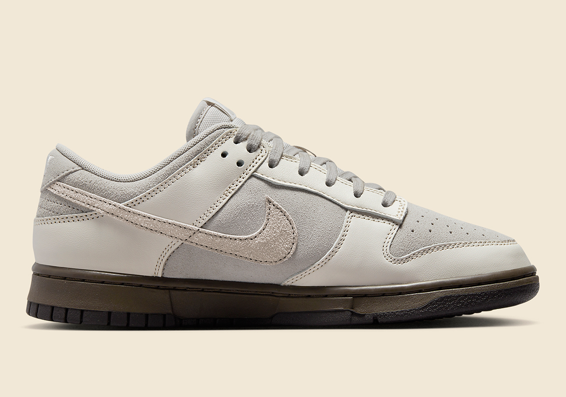 Hình ảnh chính thức của Nike Dunk Low Ironstone - 3