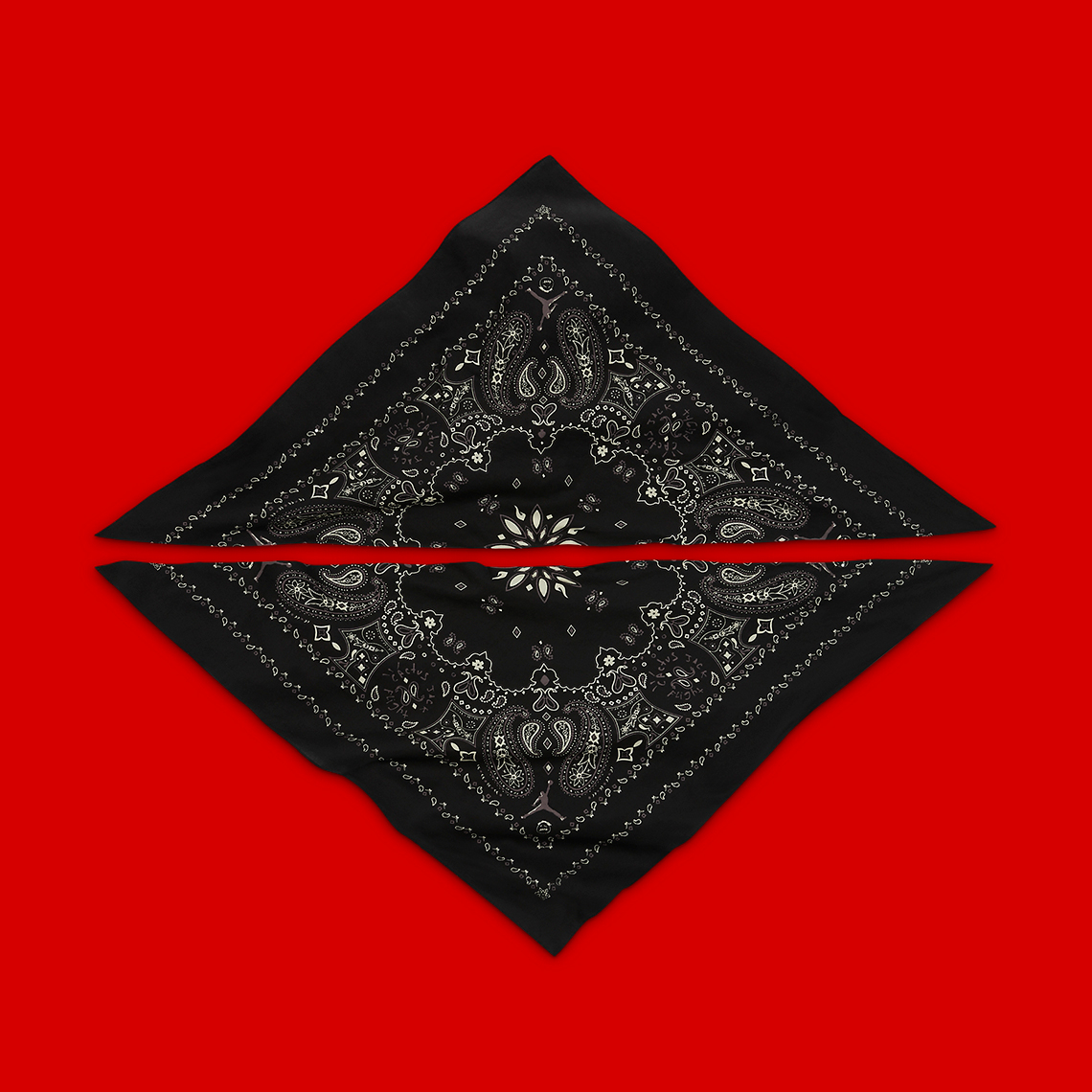 Hình ảnh chính thức của Travis Scott X Air Jordan 1 Black/Phantom thấp  - 12