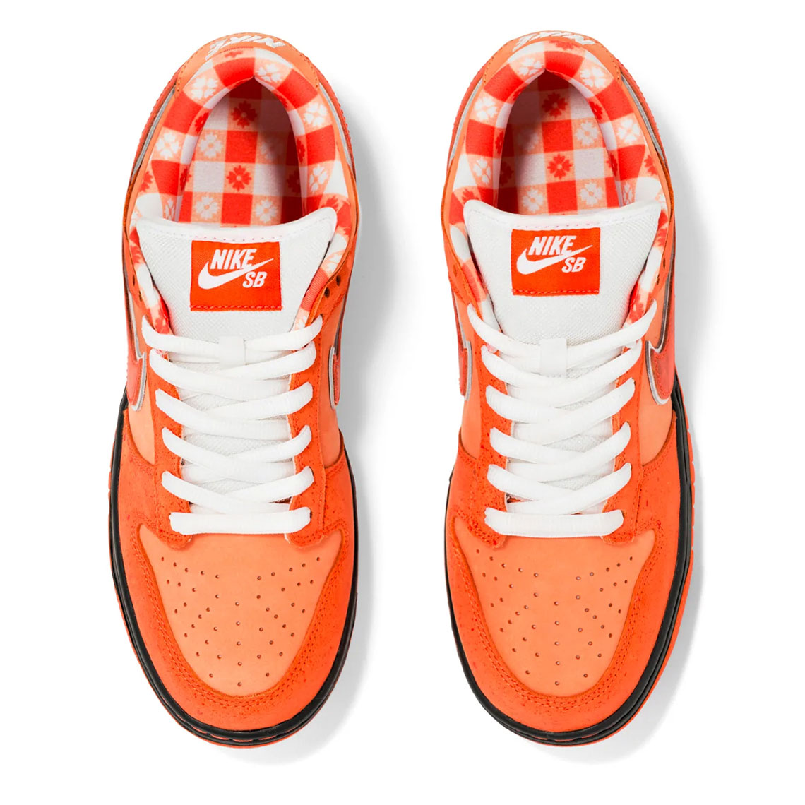 Hình ảnh mẫu Concepts Nike SB Dunk Orange Lobster  - 9