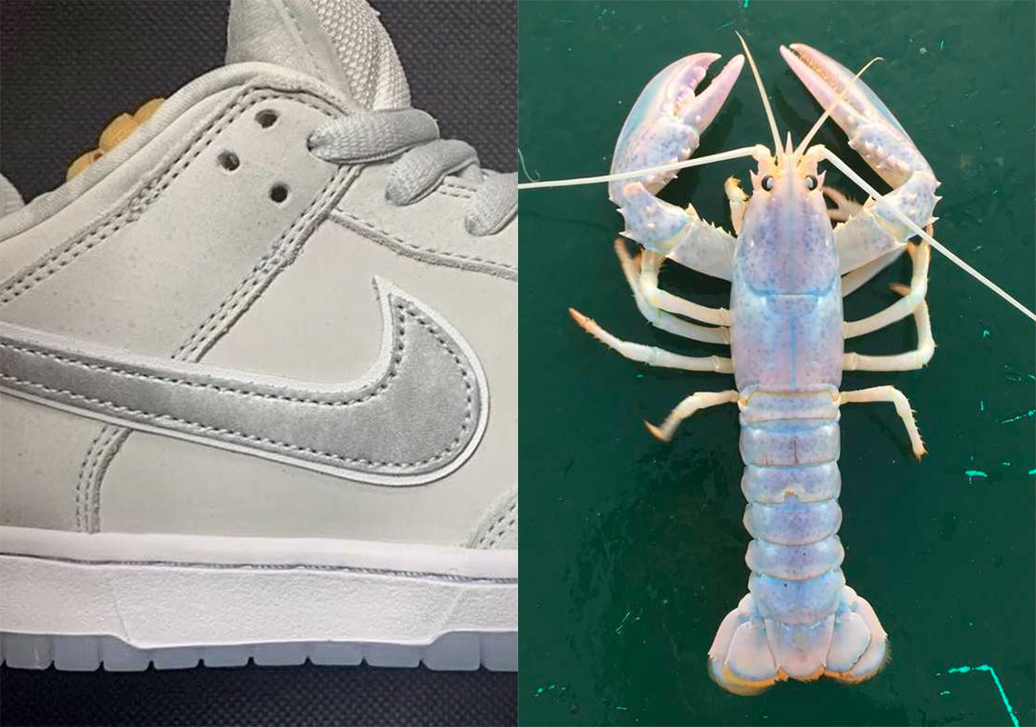 Hình ảnh mới nhất của đôi giày sneaker Nike SB Dunk Low White Lobster - 1