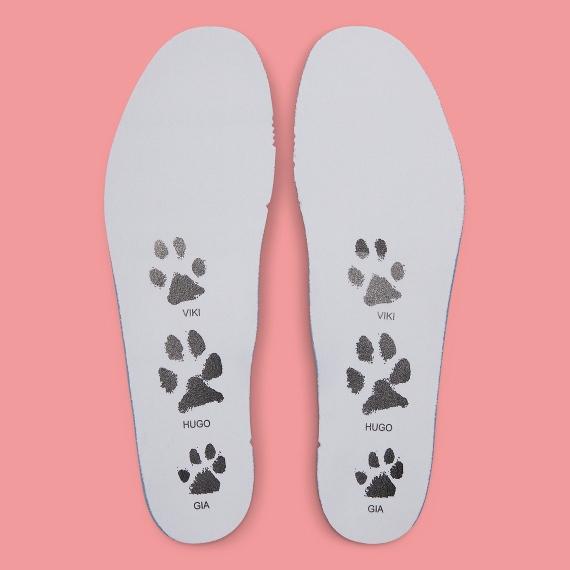 Jordan Luka 1 đi dạo cùng ba chú chó của Doncic - 8