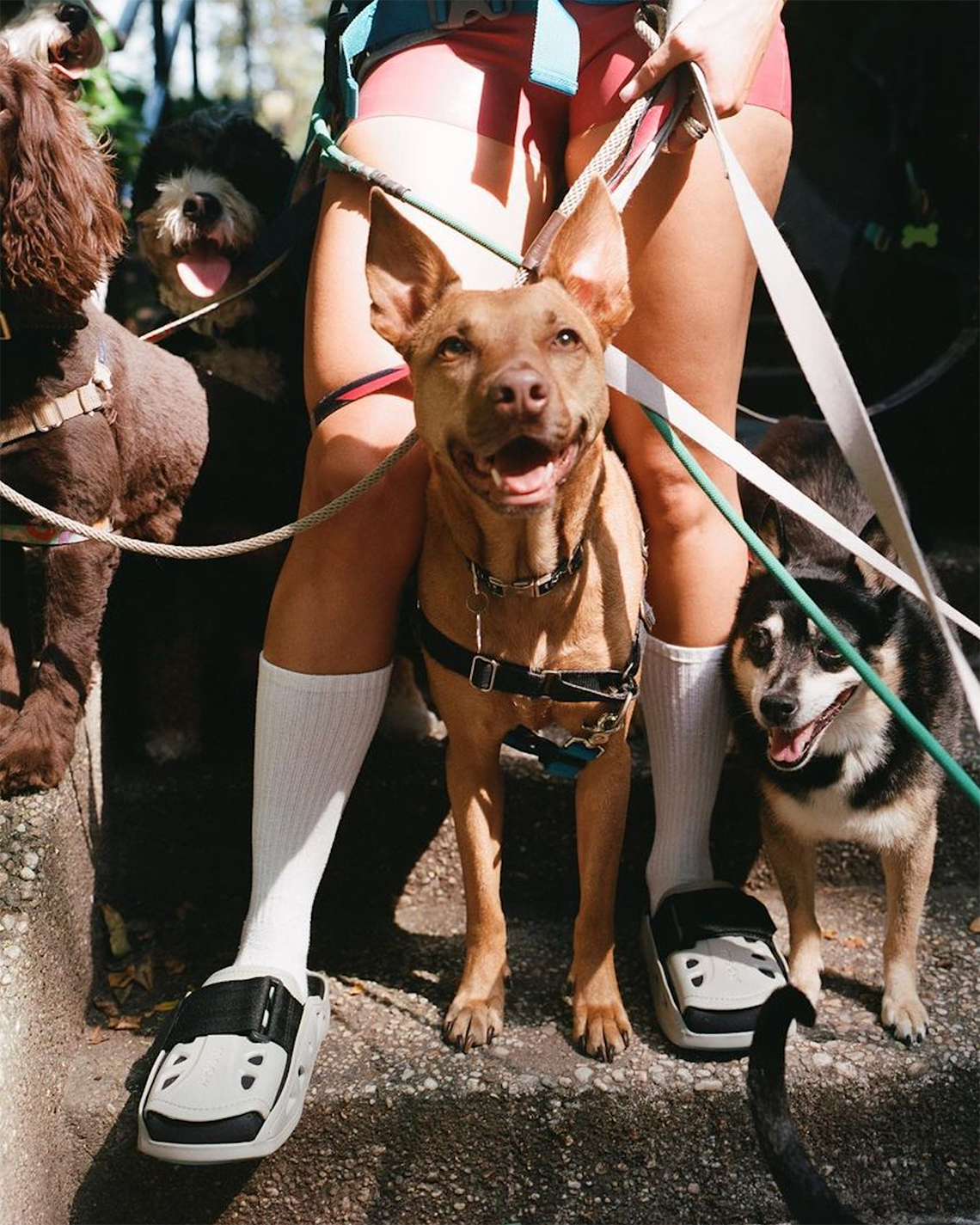 MSCHF Ra Mắt MSCHF AC2: Sự Tiếp Nối Đầy Bất Ngờ - 9