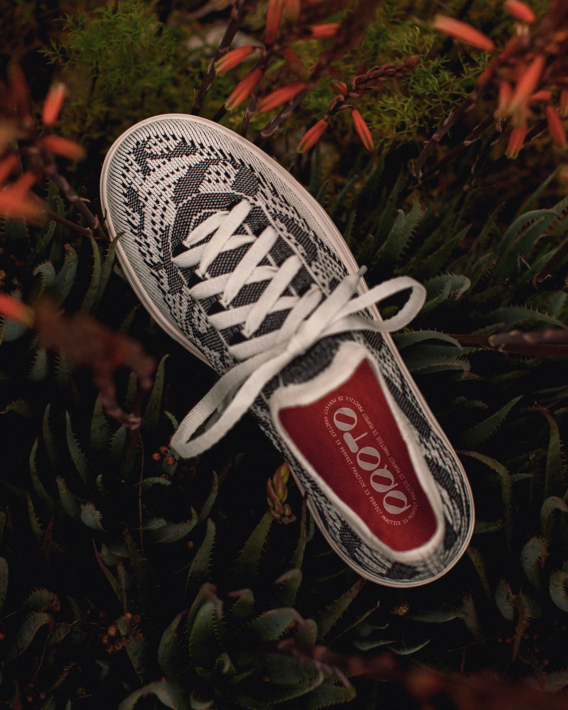 Proto Collective ra mắt giày sneaker đầu tiên: Iris, với công nghệ bền vững - 4