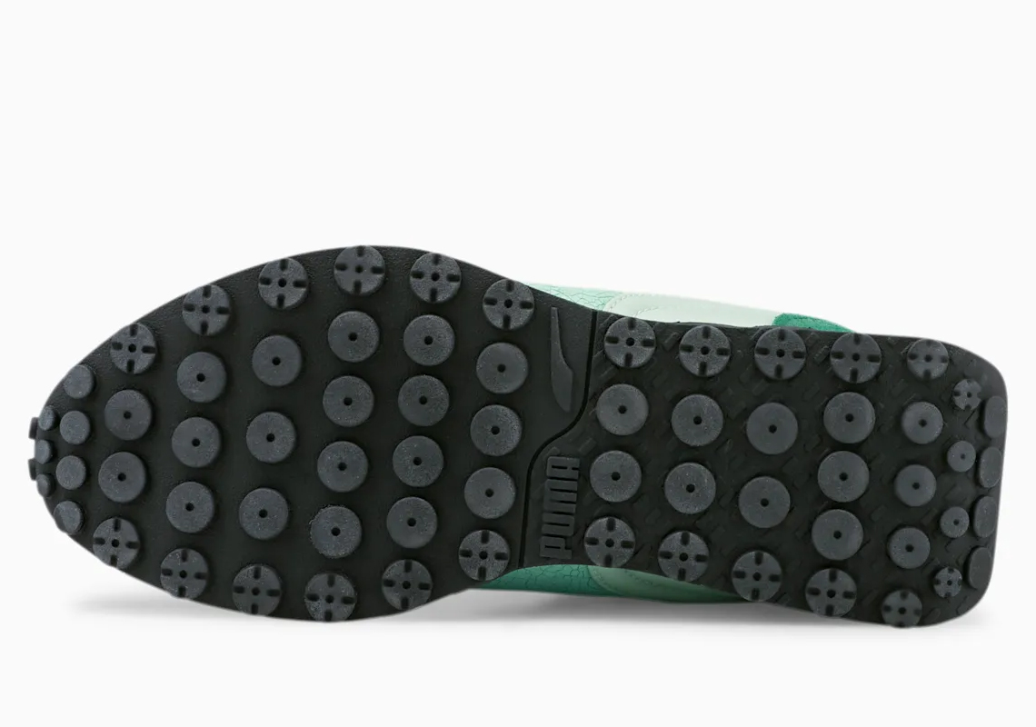 Puma đảm nhận khu vực Kanto với bộ sưu tập Pokémon - 13