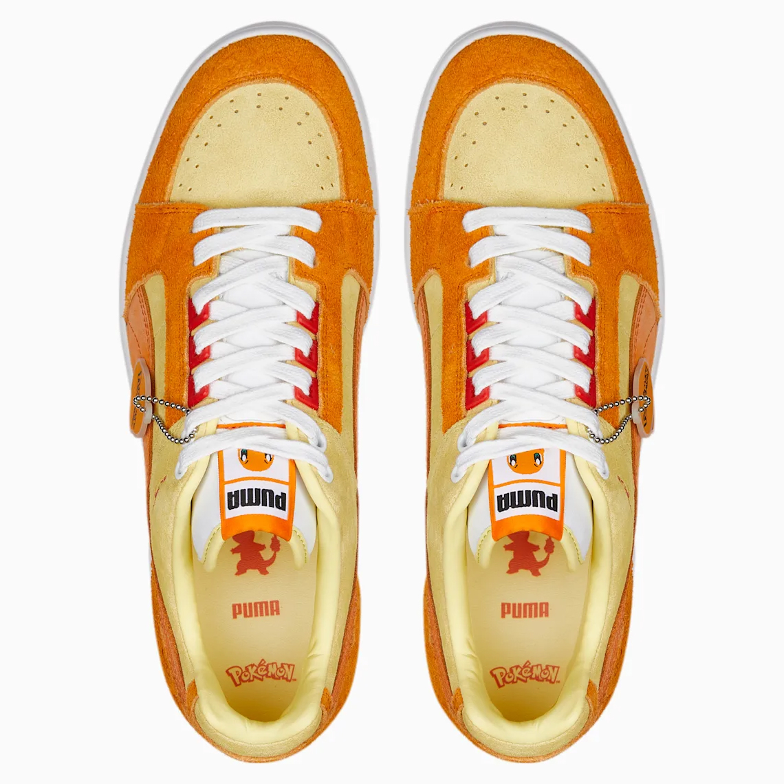 Puma đảm nhận khu vực Kanto với bộ sưu tập Pokémon - 16